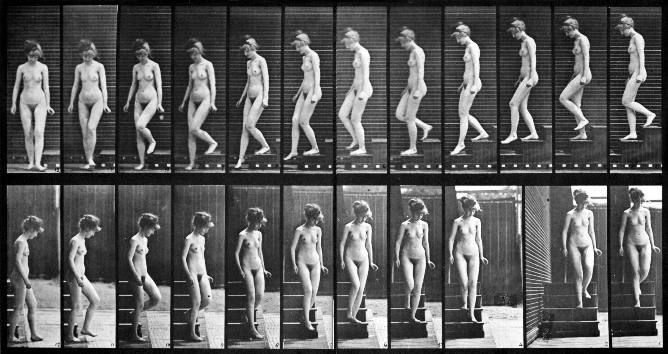 Muybridge: Rörelsestudie, 1880-talet